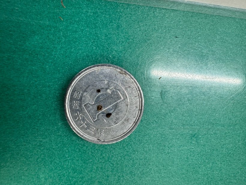 1円に乗った3つの小さな黒い種